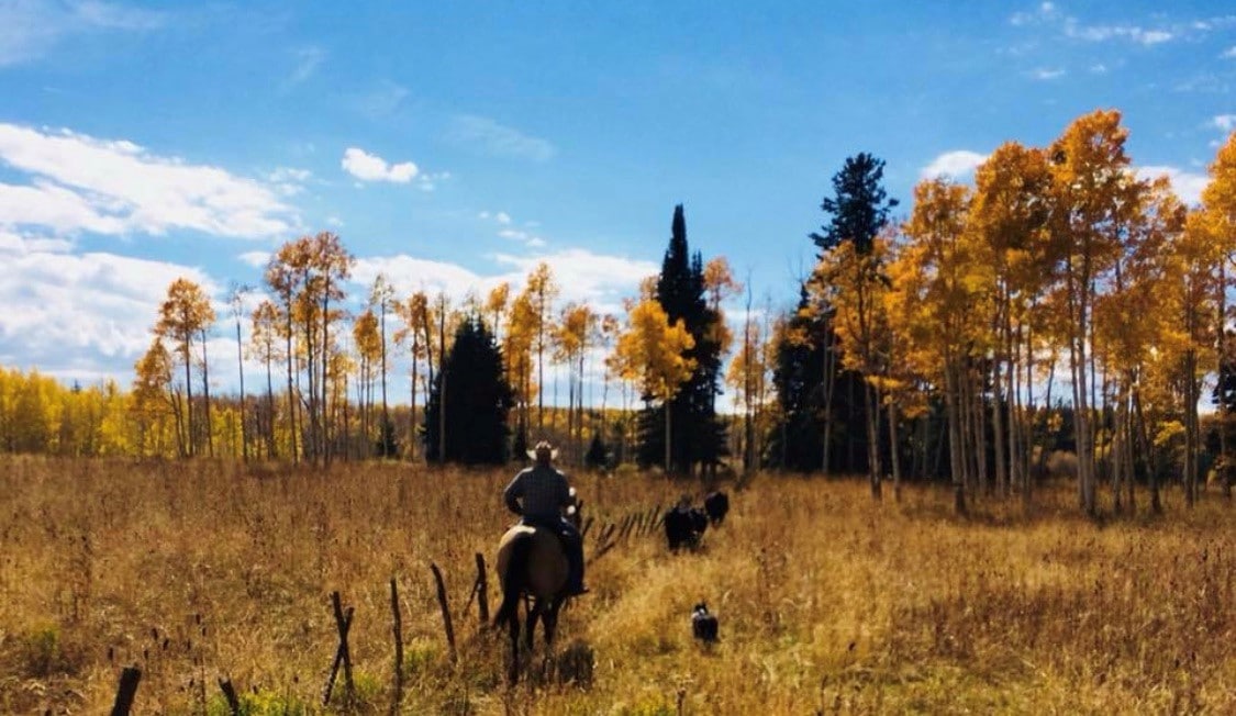 Riding-Horse-in-Western-Colorado
