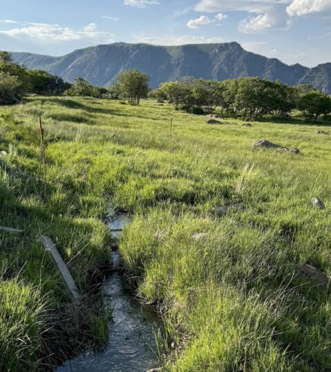 EGR Ranch - Irrigation and Water Rights