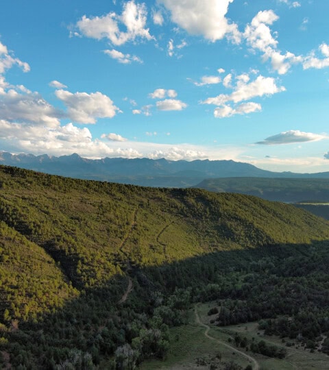 Burro Creek Ranch