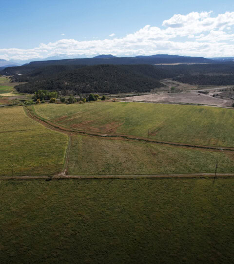 survey lines and natural contours make the land lines we see today.