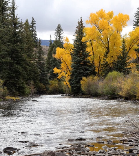 Lake Fork River Ranch Fall Color