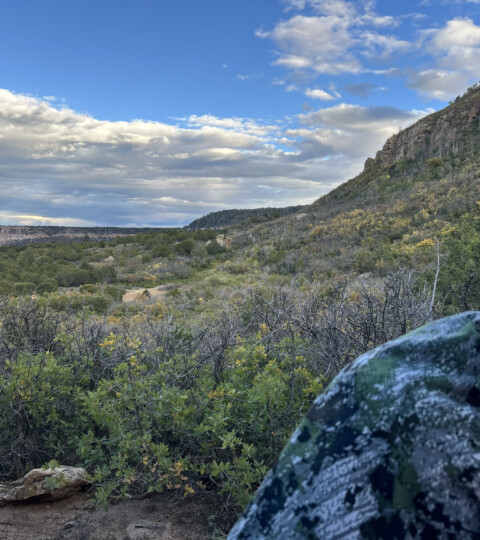 Colorado Muzzleloader Season