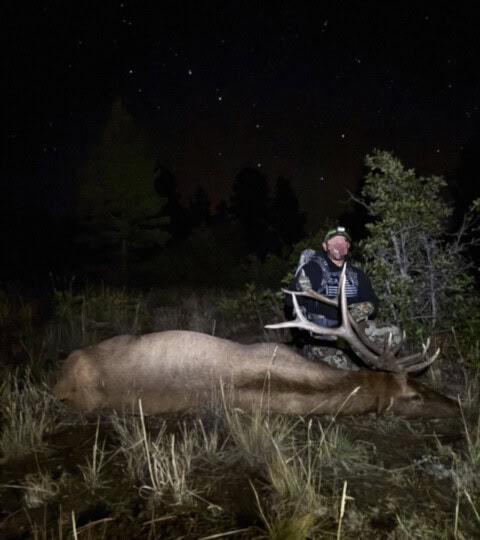 Bull Elk from The Preserve Ranches of Government Springs
