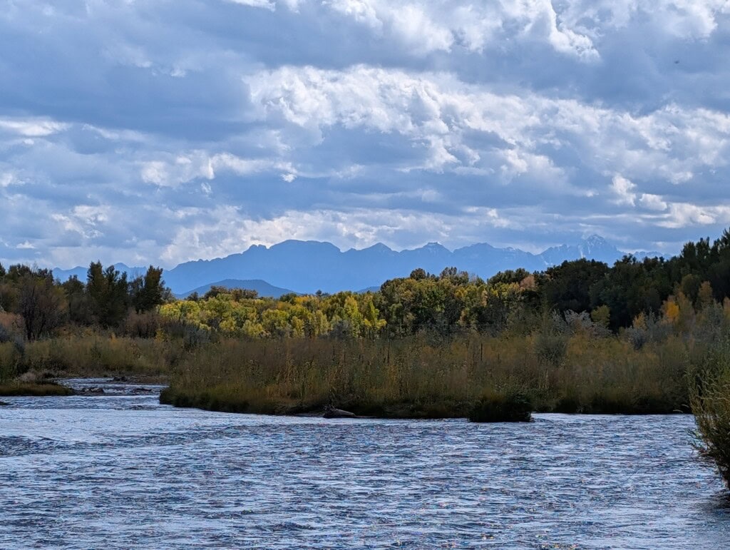 Uncompahgre River in Fall