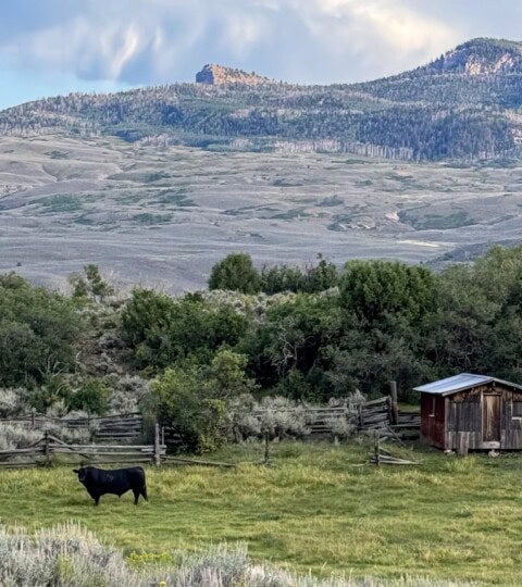 What makes a legacy ranch?