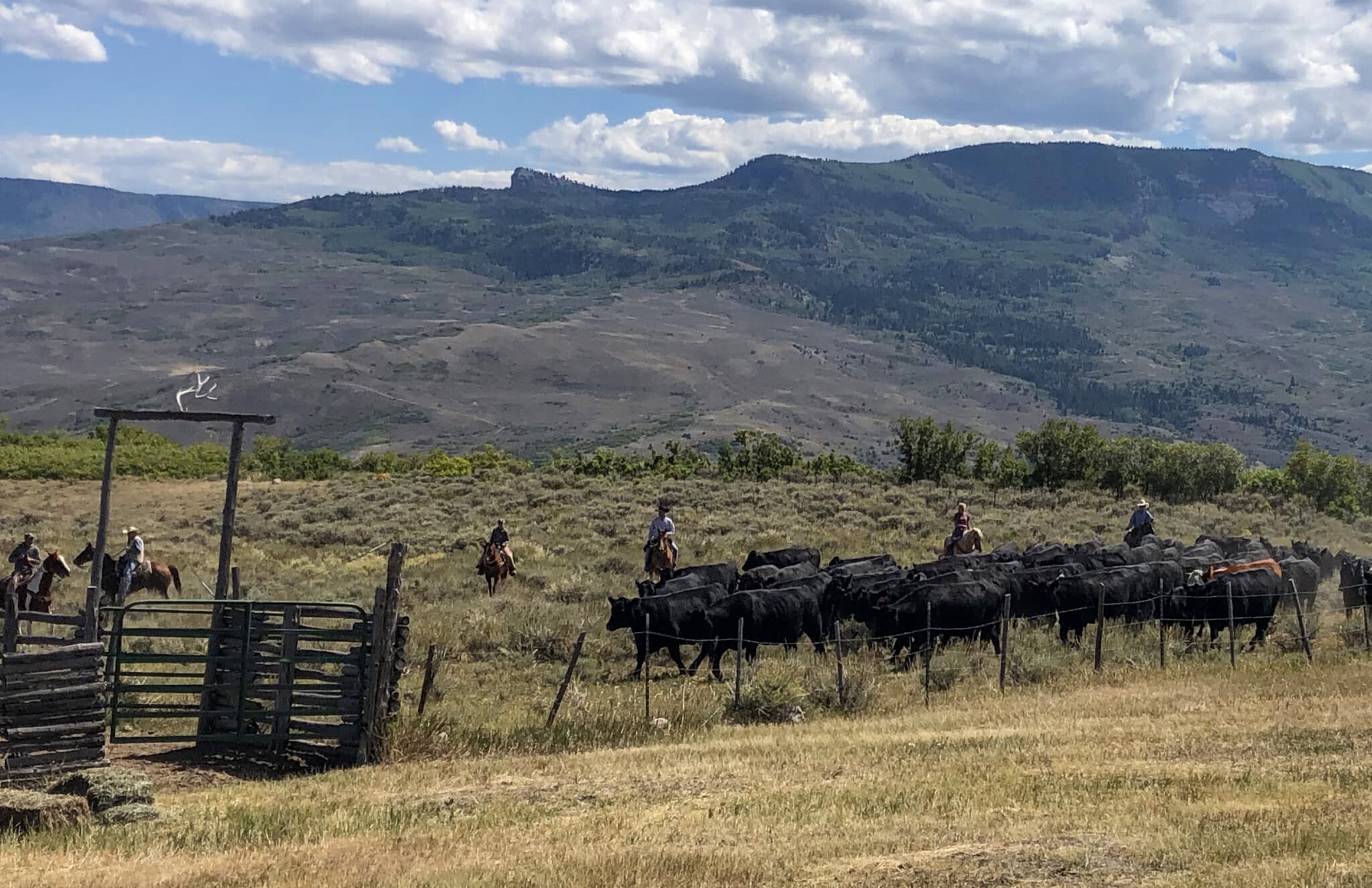 Higher for Longer: Why Western Ranch Ground May Be Entering a Major ...