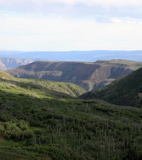 Camel Point Ranch