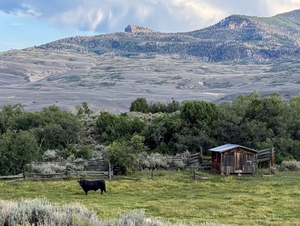 What makes a legacy ranch?