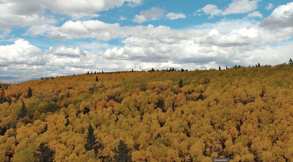 Arrowhead_Alpine_Fall_Color